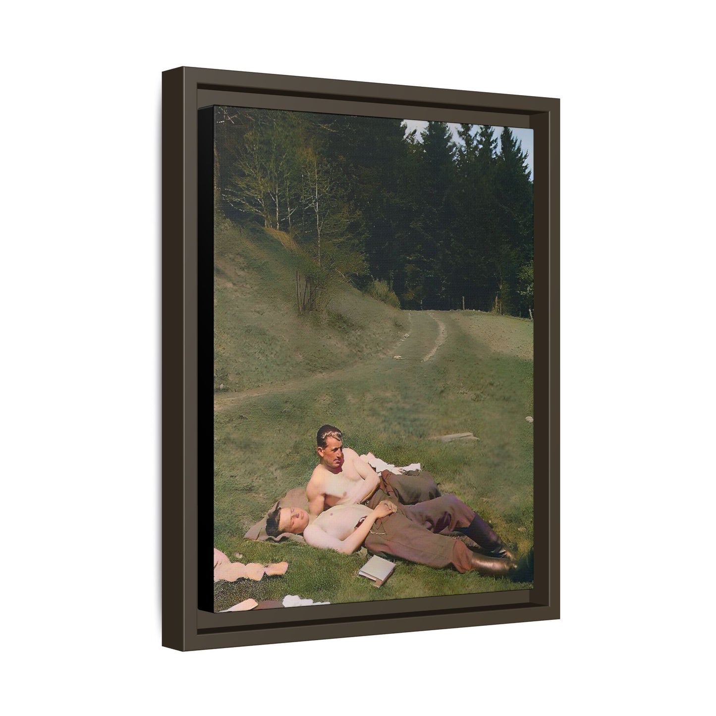 A framed vintage portrait on matte canvas featuring Anthony and Claude in the Belluno Dolomites, capturing nature, serenity, and timeless connection. Gay Couple, LGBTQ Soldiers