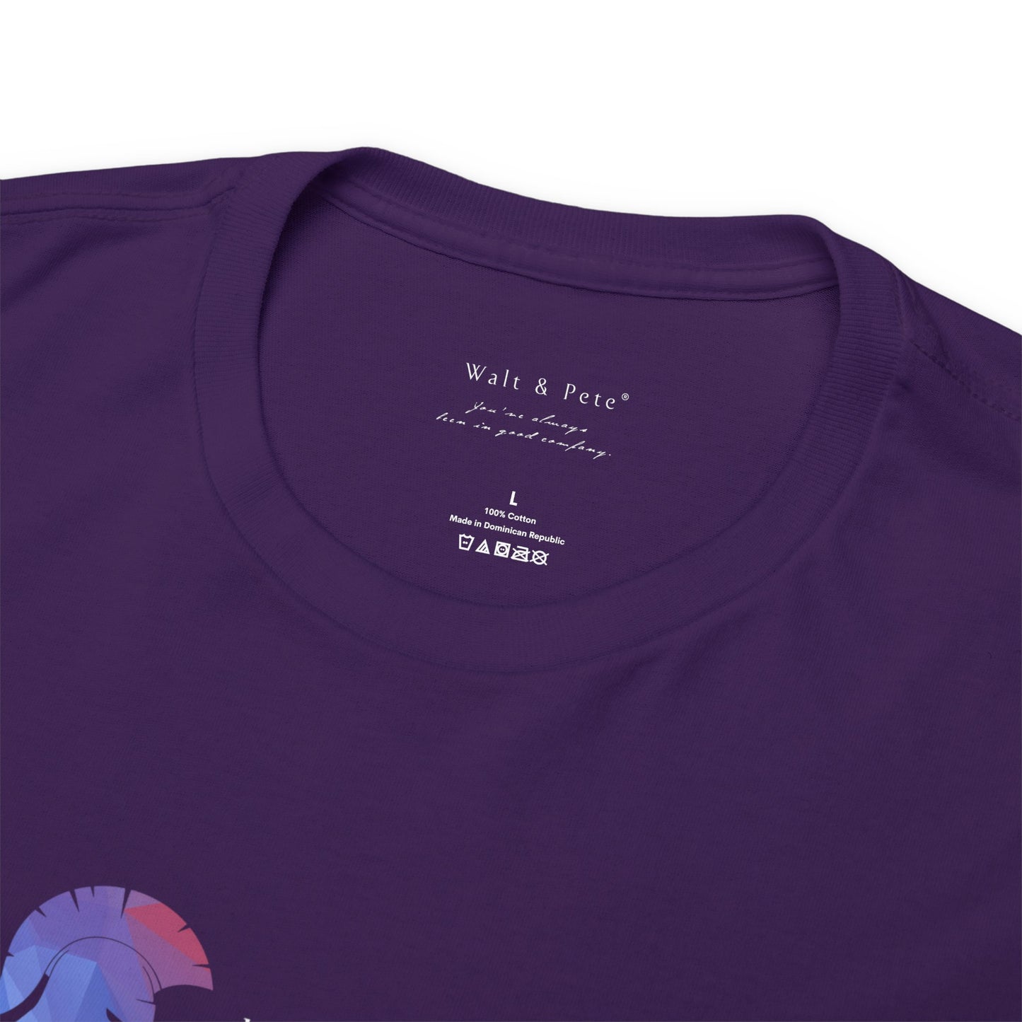 Luther Vandross | American Singer & Songwriter | Pride T-Shirt