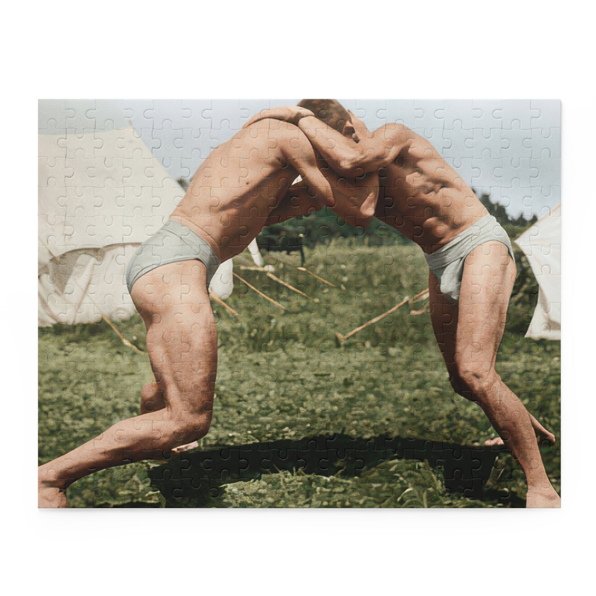 Close-up of outdoor wrestling photo jigsaw pieces showing tent fabric, diagonal guy ropes, and grass.