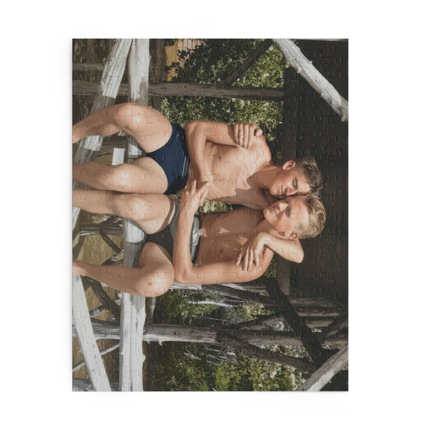 Summer Pavilion Companions | Restored Historical Jigsaw Puzzle | nager 011