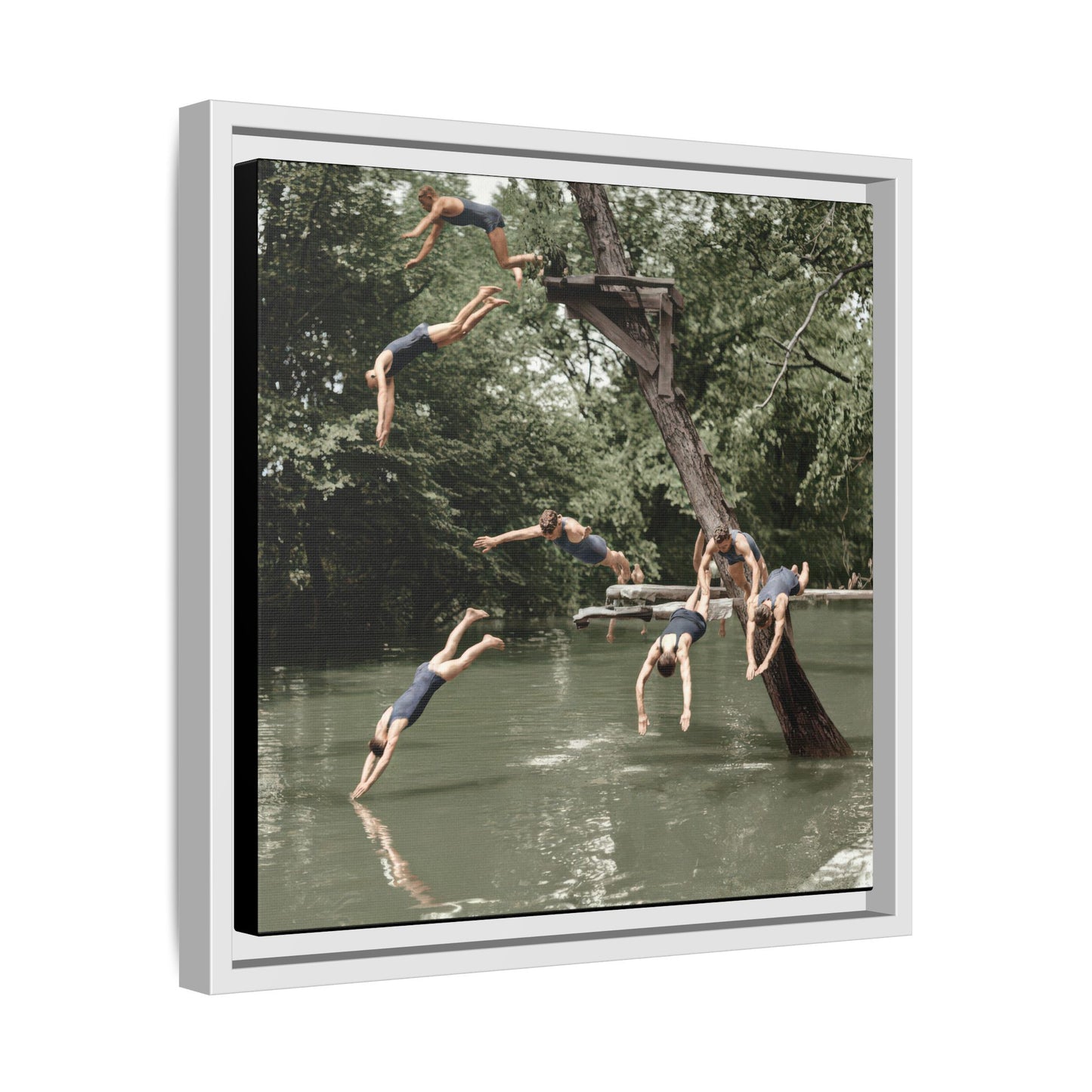 nager 005 | Framed Vintage Photo - Matte Canvas