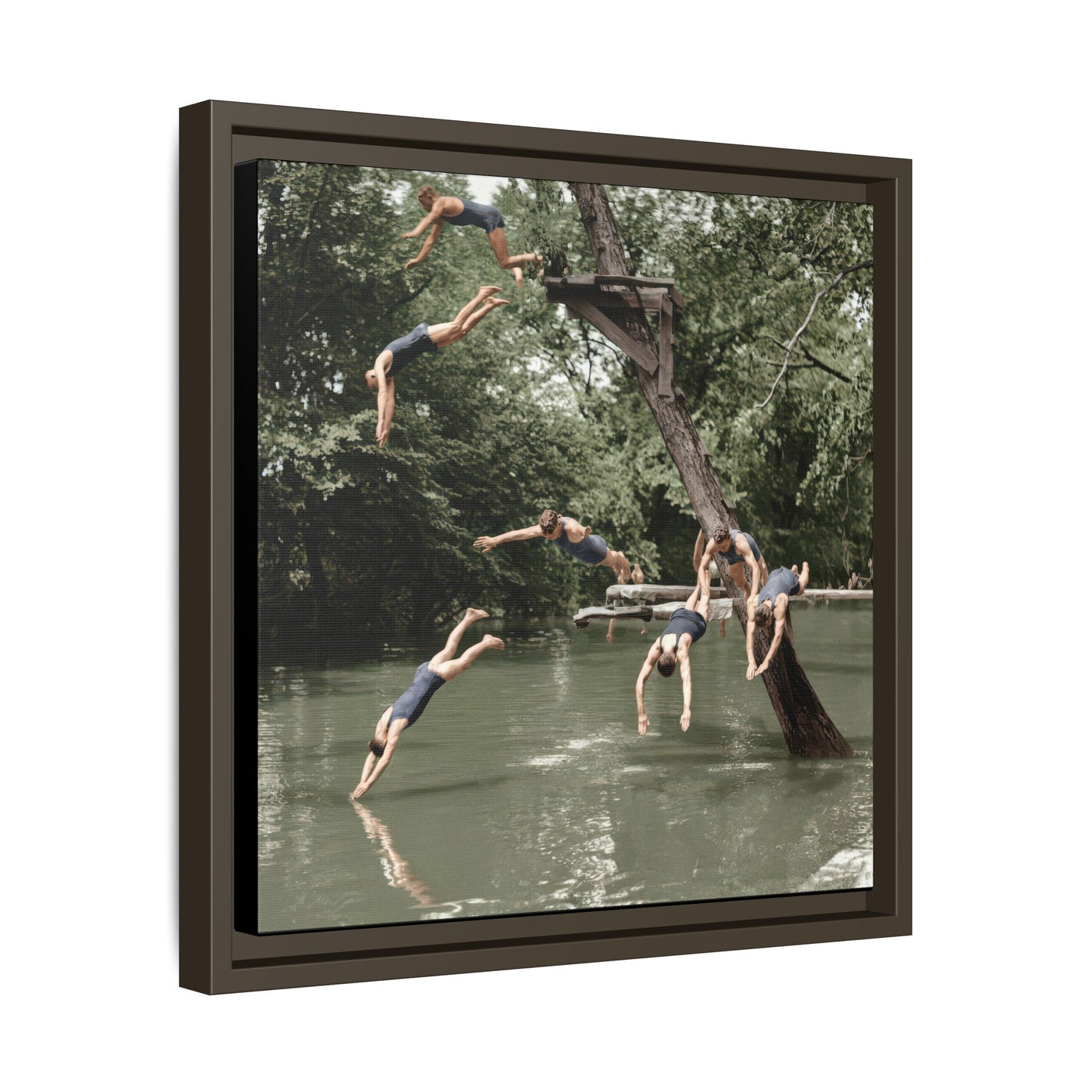 nager 005 | Framed Vintage Photo - Matte Canvas