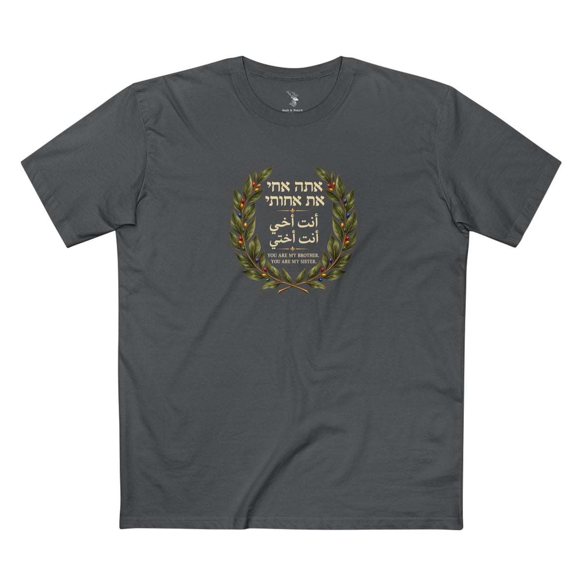 You Are My Brother, You Are My Sister T-Shirt | Hebrew Arabic English Unity & Pride Tee
