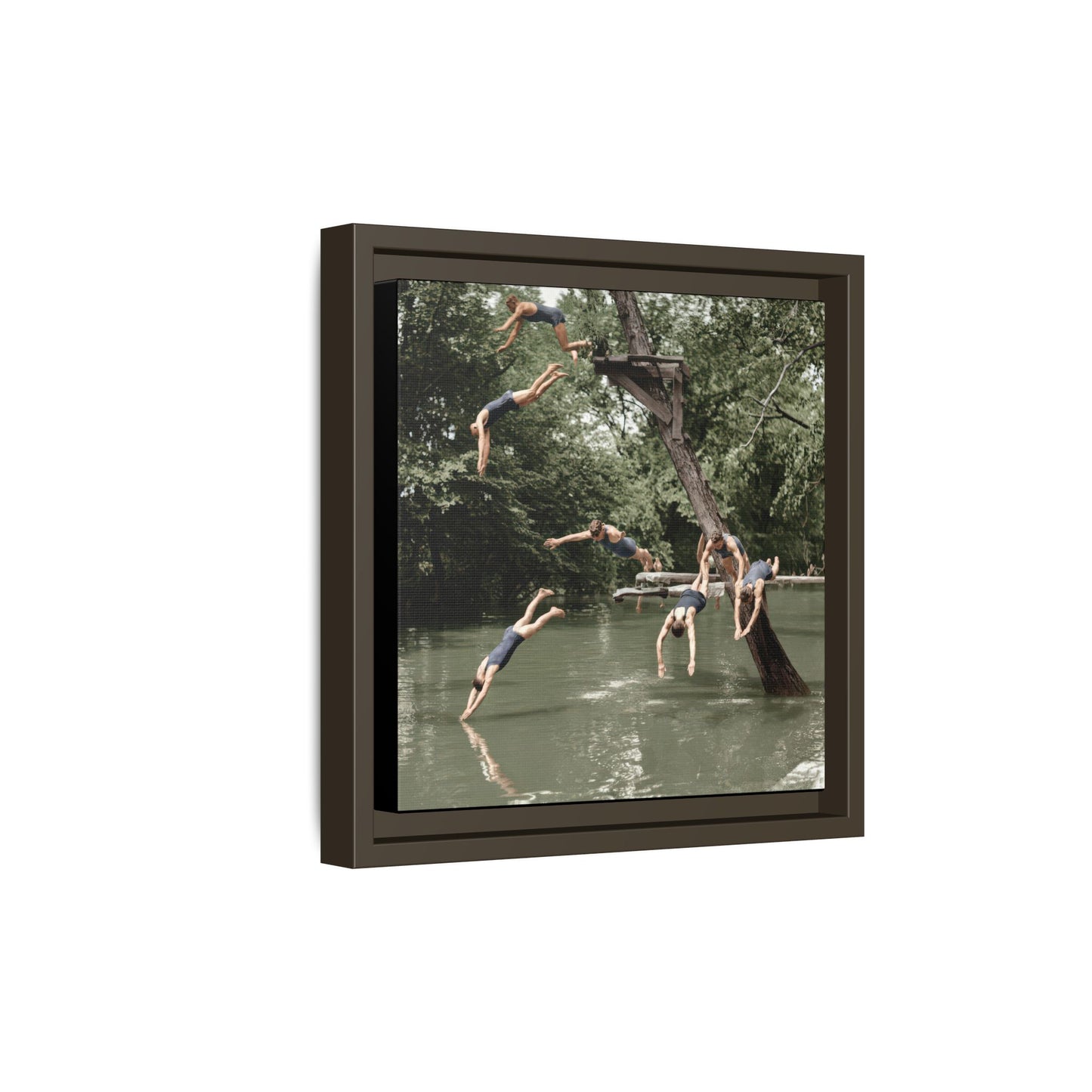 nager 005 | Framed Vintage Photo - Matte Canvas