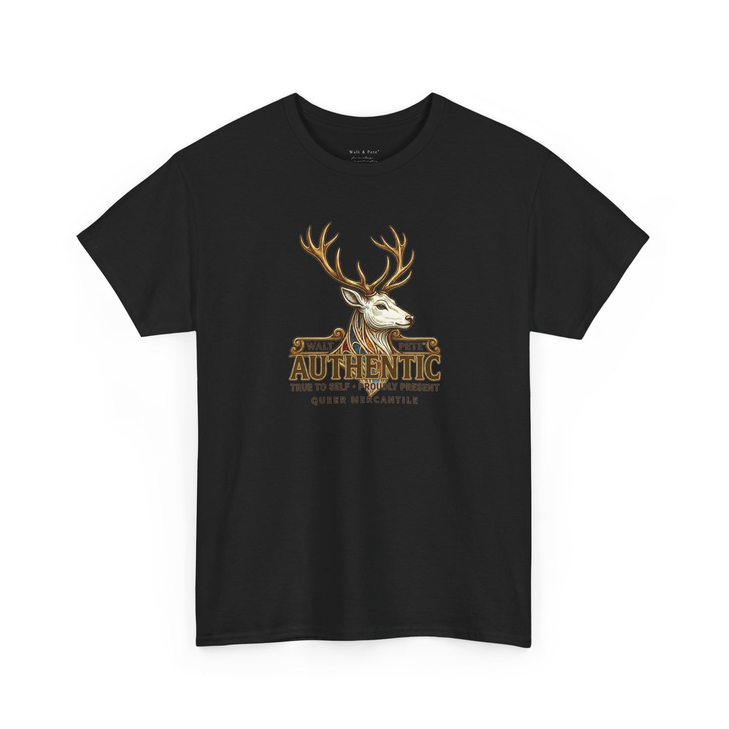 Authentic Pride T-Shirt | True To Self & Proudly Present LGBTQ Identity Graphic Tee