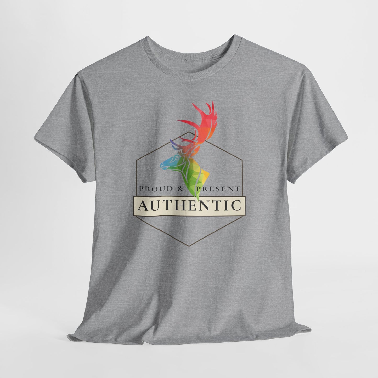 Authentic Pride T-Shirt | Proud & Present LGBTQ Identity Graphic Tee