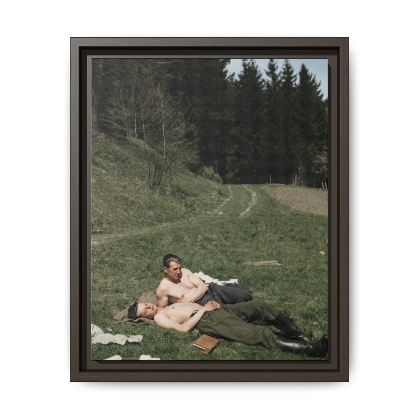 Vintage historical photograph of two reclining male figures in a grassy landscape on framed canvas