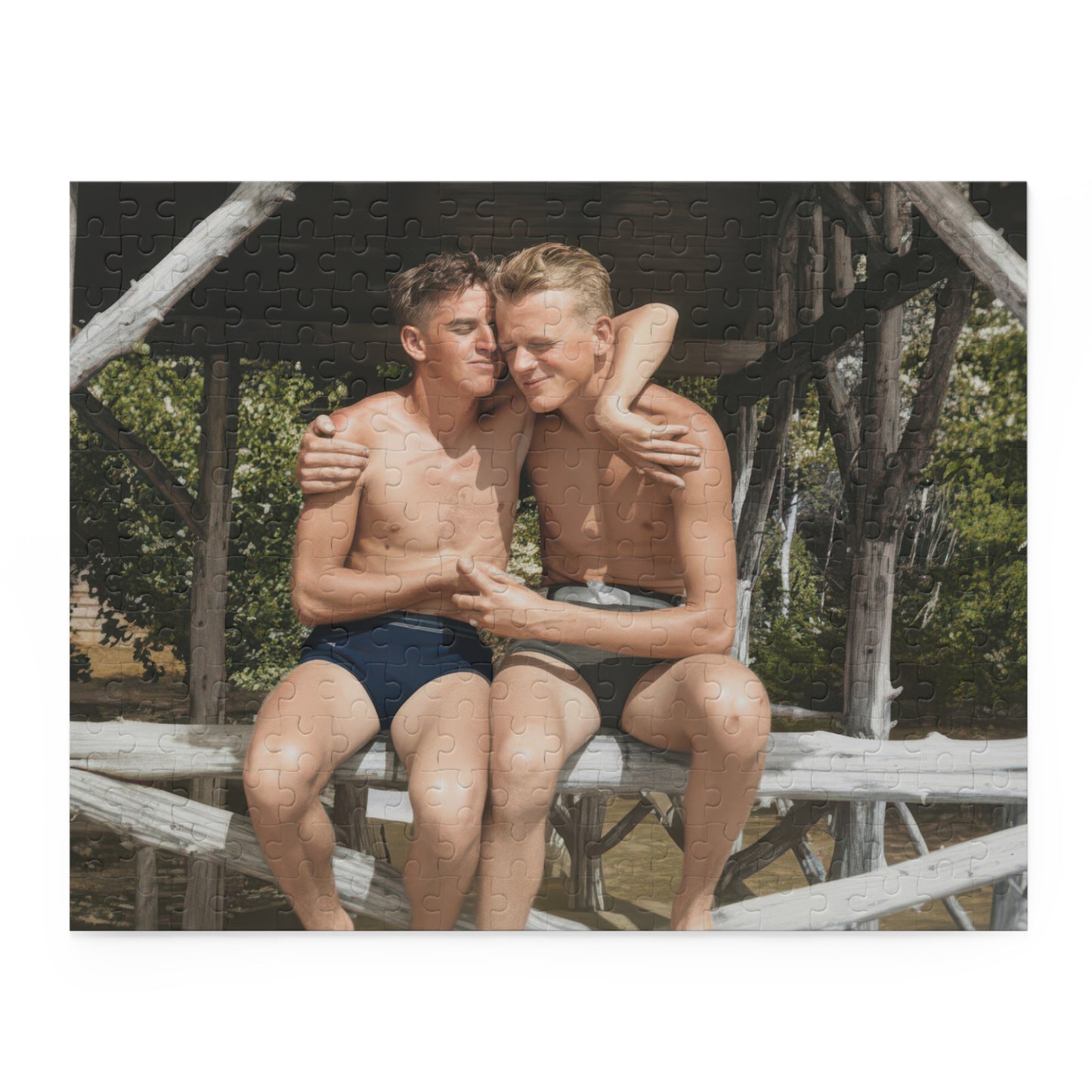 Summer Pavilion Companions | Restored Historical Jigsaw Puzzle | nager 011
