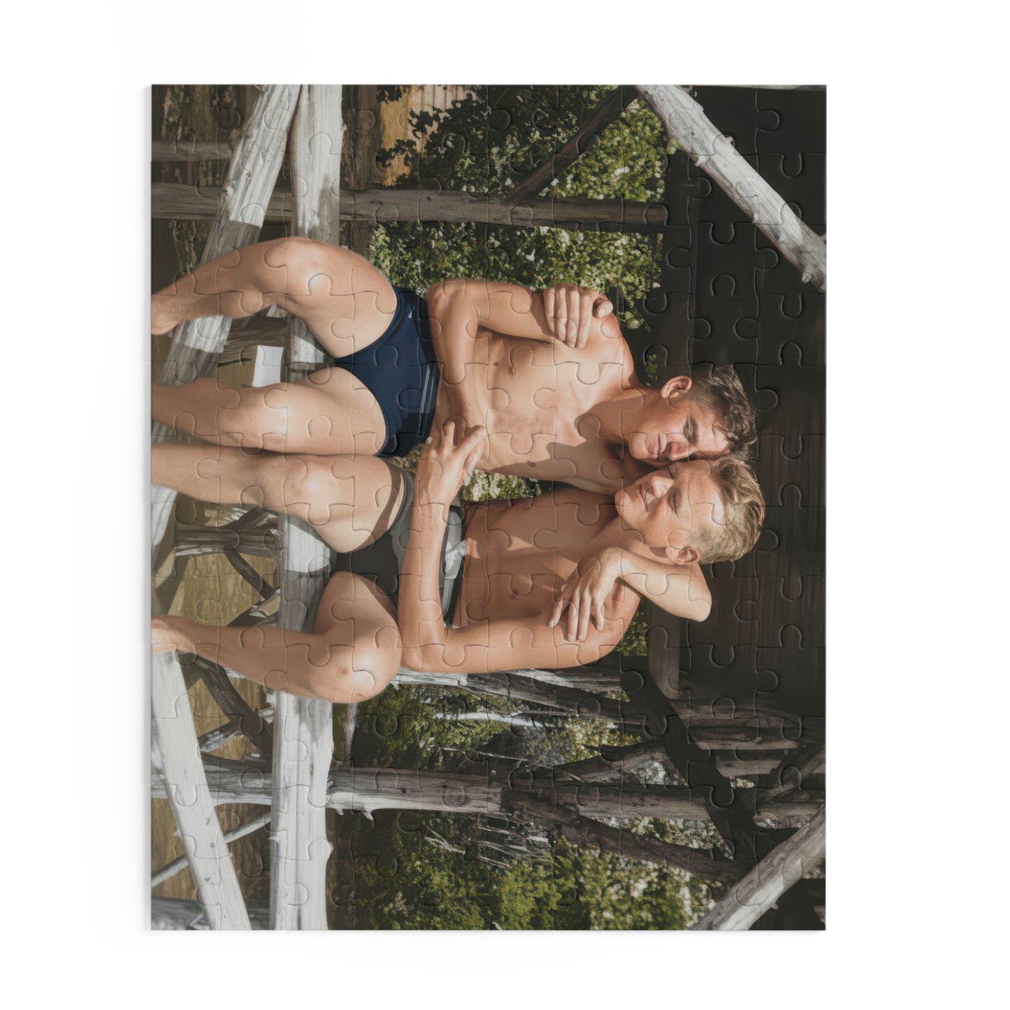 Summer Pavilion Companions | Restored Historical Jigsaw Puzzle | nager 011