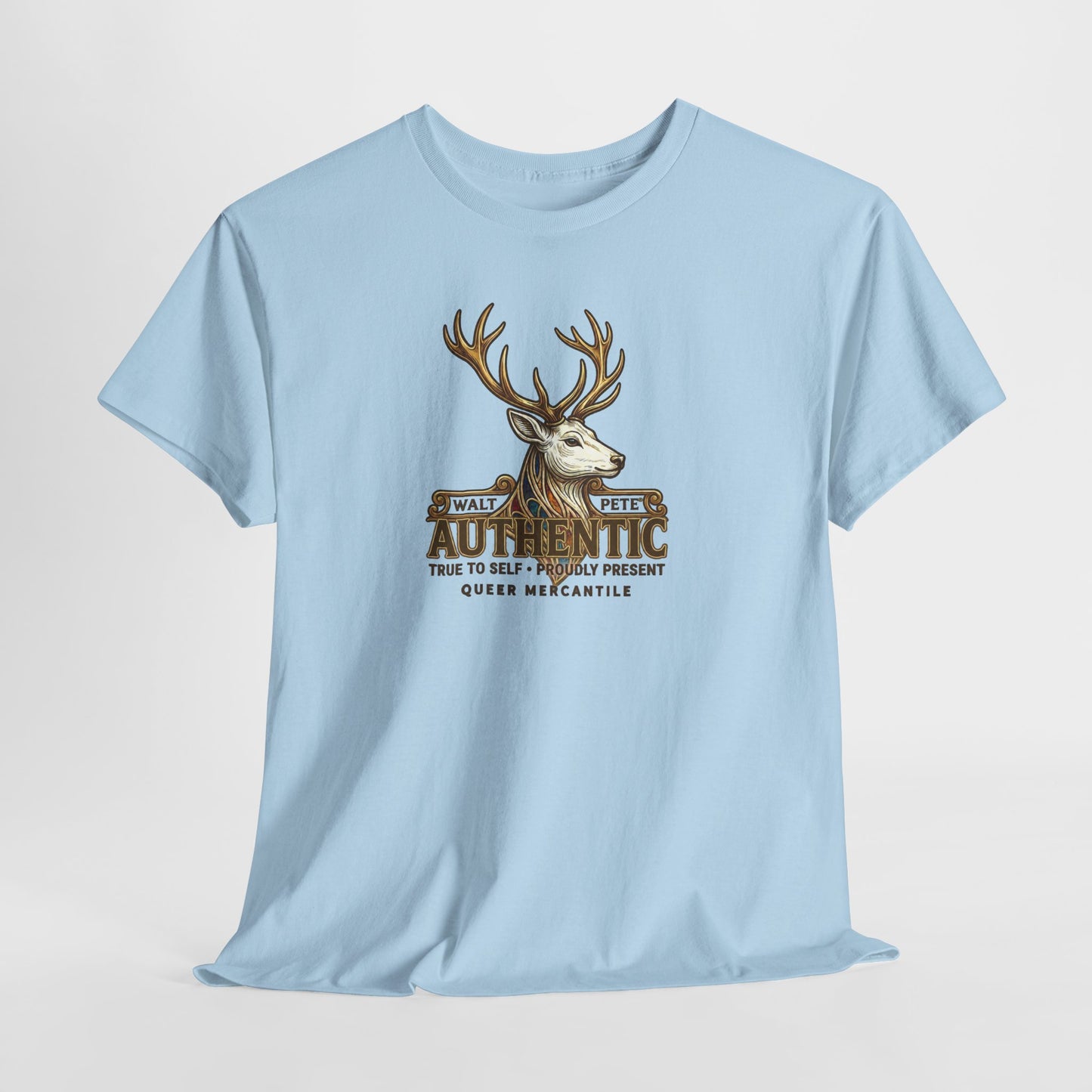 Authentic Pride T-Shirt | True To Self & Proudly Present LGBTQ Identity Graphic Tee