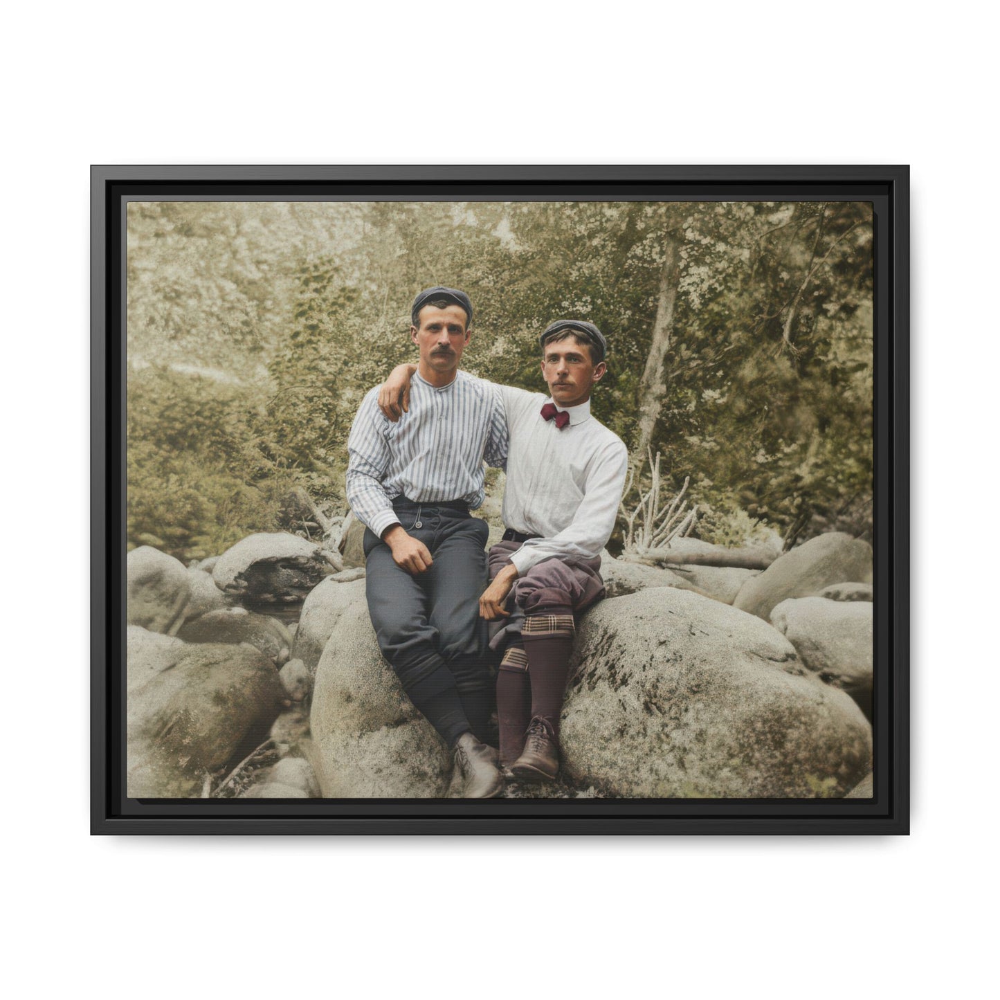Vintage companion photograph natural landscape framed canvas wall art