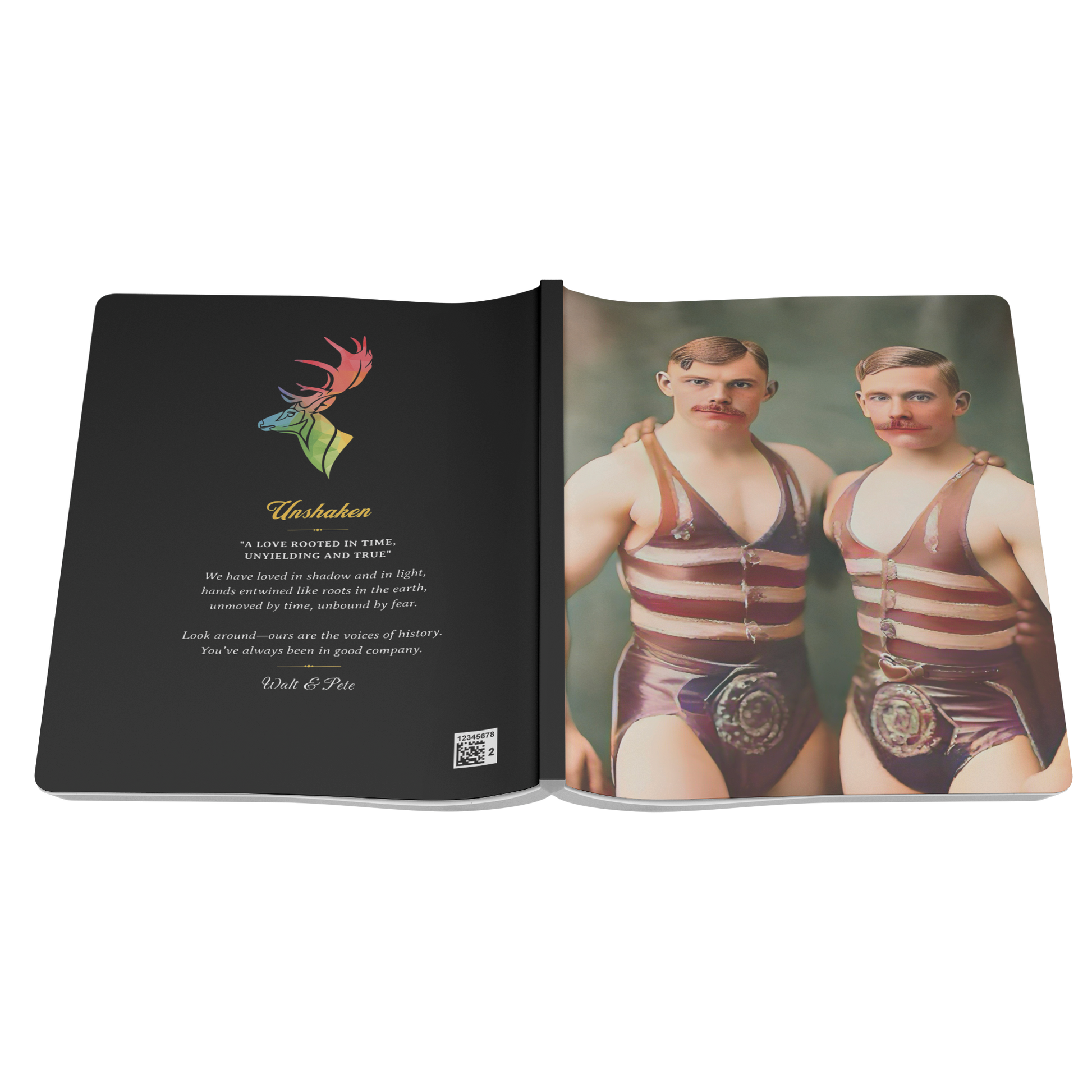 Vintage_Photo_-_paire__114__Softcover_N_Open_Cover_Flat_Mockup.png